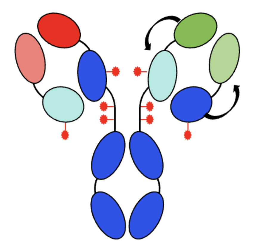 WX20260524-102833@2x.png
