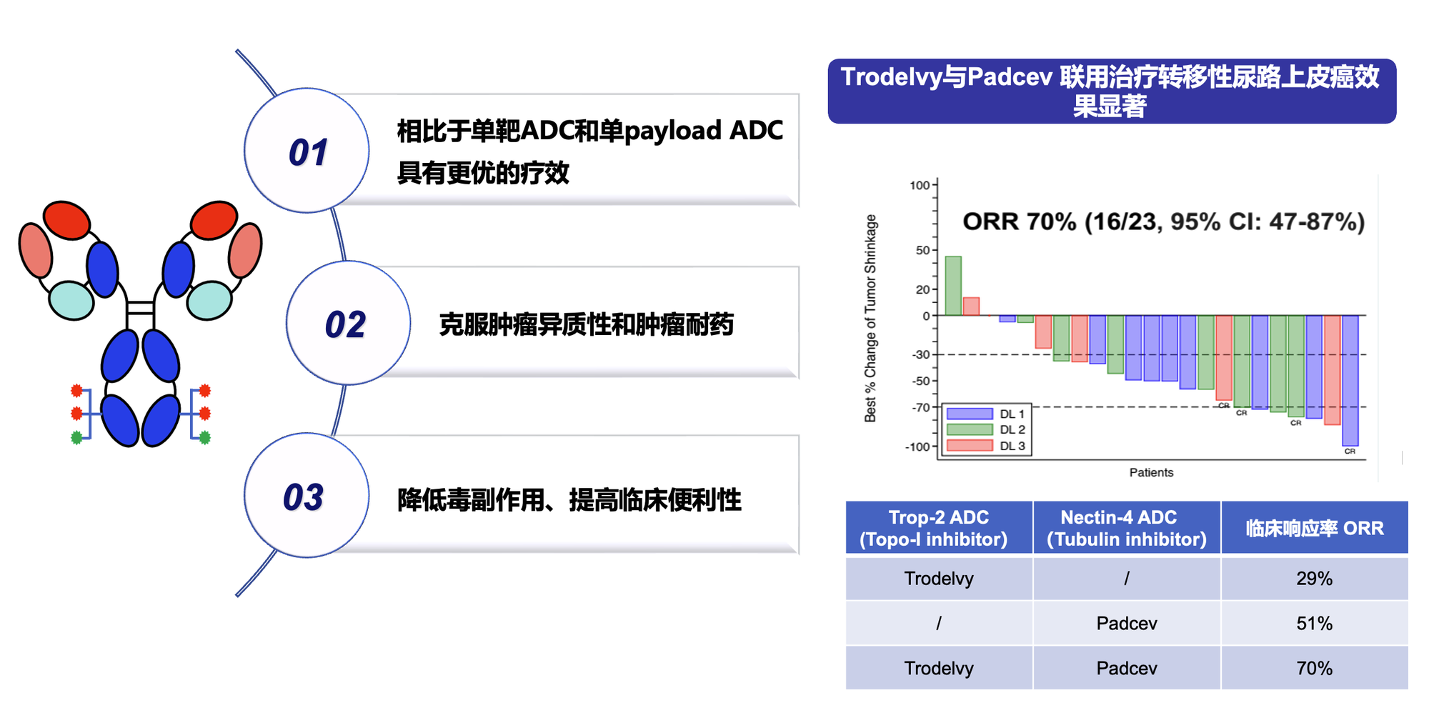 dpadc_detail (1).png